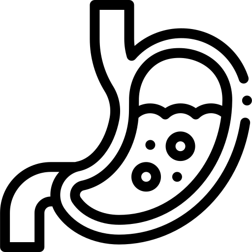 Gastroenterologji Stomaku